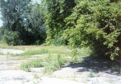 Pontiac Drive-In Theatre - 1994 Lot From Greg Mcglone
